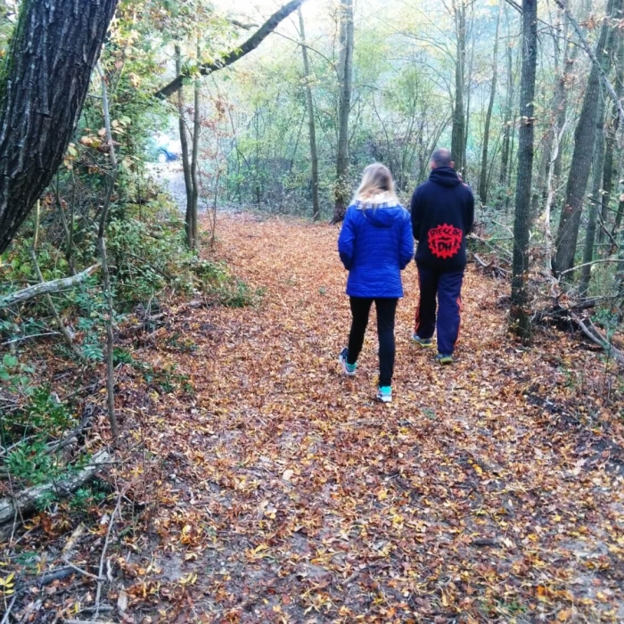 Sendero del soto en otoño