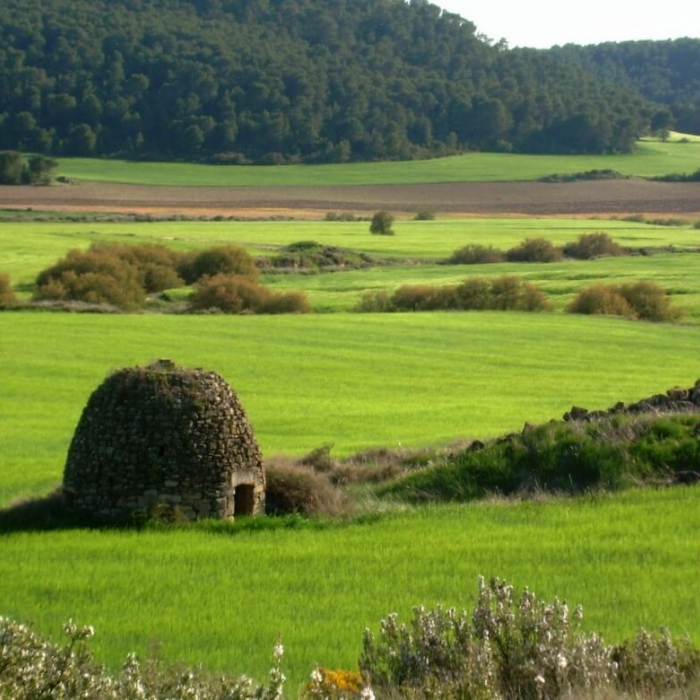 Bóveda de Valdespartera