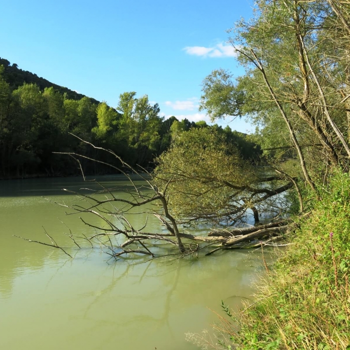 Rio Gállego