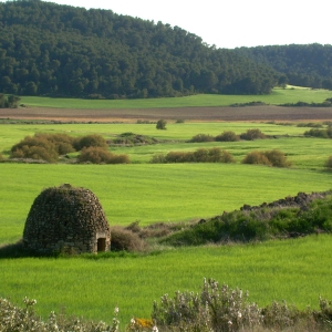 Boveda y campos