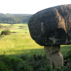 Hongo chimenea hadas